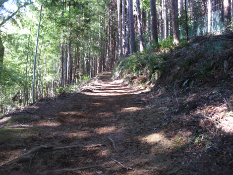 20170126hike (241)
